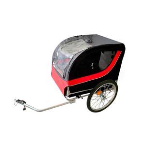 Transportadores